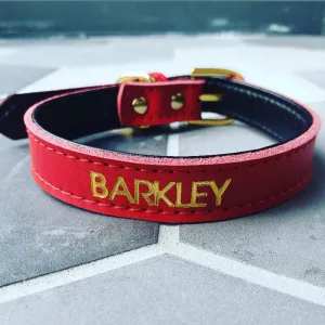 Personalised Leather Dog & Cat Collars