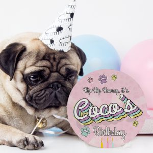 Personalised Dog Birthday Plaques
