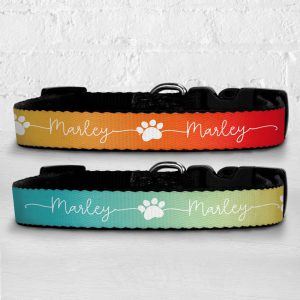Pet Collars, Harnesses + Leads