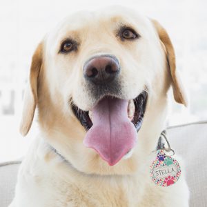 Personalised Pet Id Tags for Dogs & Cats