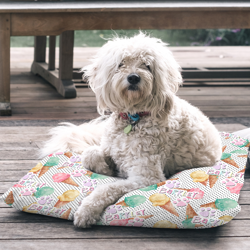 Dog Bedding & Towels