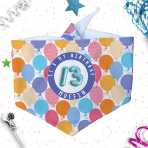 Personalised Dog & Cat Birthday Bandanas - Balloons