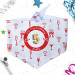 Personalised Dog & Cat Birthday Bandanas - Cheers