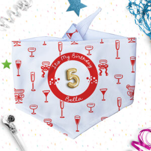 Personalised Dog & Cat Birthday Bandanas - Cheers