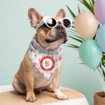 Personalised Dog & Cat Birthday Bandanas - Cheers